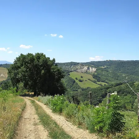 Sociano-1 By Interhome *