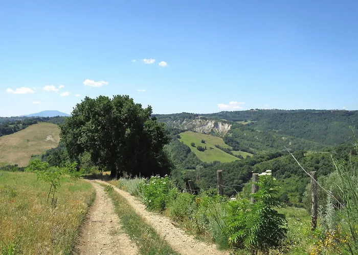 Sociano-1 By Interhome *